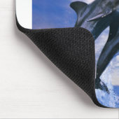 Muismat dolfijn (Hoek)