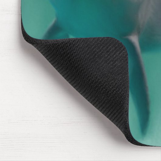 Muismat dolfijn (Hoek)