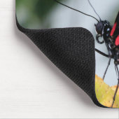 Muismat/Doris Longwing Butterfly Muismat (Hoek)