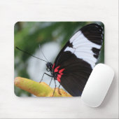 Muismat/Doris Longwing Butterfly Muismat (Met muis)
