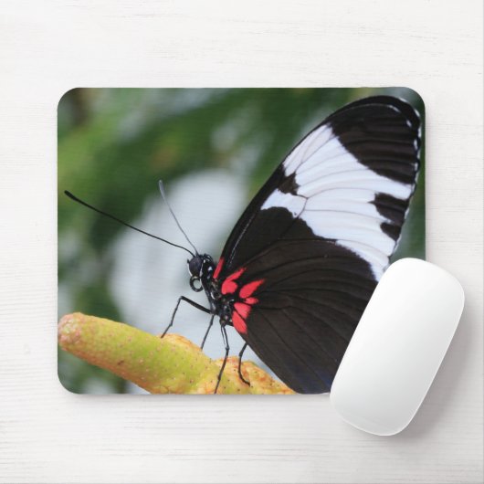 Muismat/Doris Longwing Butterfly Muismat (Met muis)