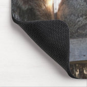 Muismat eekhoorn (Hoek)