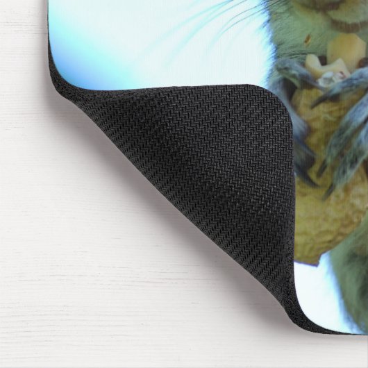 Muismat eekhoorn (Hoek)