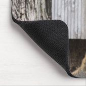 Muismat eekhoorn (Hoek)