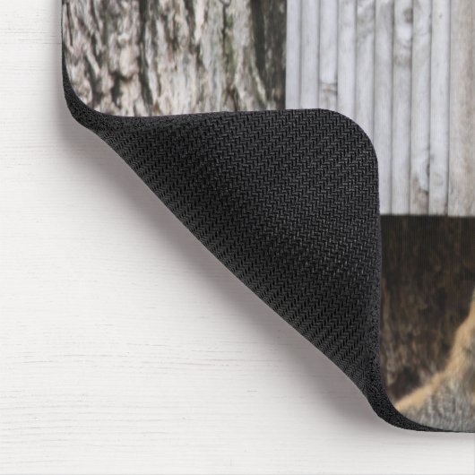 Muismat eekhoorn (Hoek)