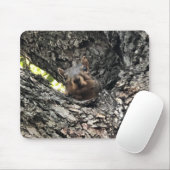 Muismat eekhoorn (Met muis)