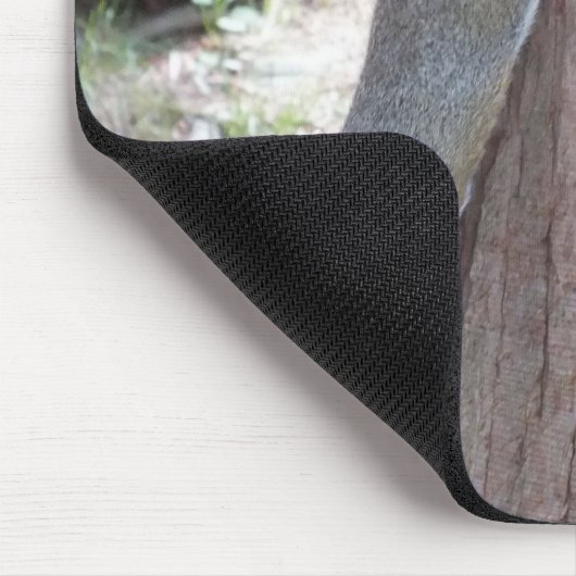 Muismat eekhoorn (Hoek)