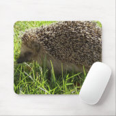 Muismat egel (Met muis)