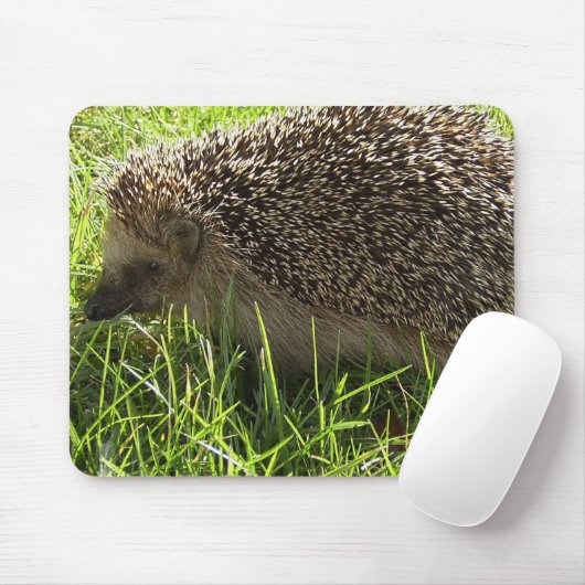 Muismat egel (Met muis)