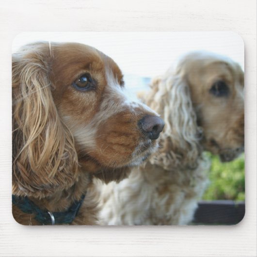 Muismat Engelse Cocker Spaniel (Voorkant)