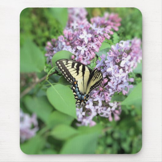 Muismat - ET Slice over Lila (Voorkant)