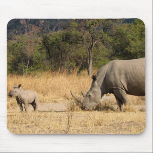 Muismat familie Rhinoceros