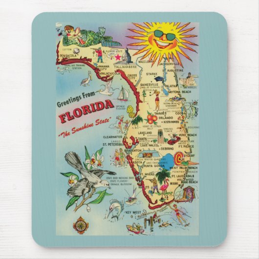 Muismat Florida Map (Voorkant)