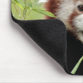 Muismat Foto: red panda, animal 0392. (Hoek)