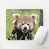 Muismat Foto: red panda, animal 0392. (Met muis)