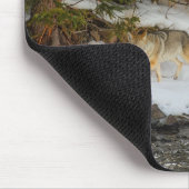 Muismat-geelsteen Coyote Muismat (Hoek)