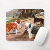 Muismat  gekleurde Collies (Met muis)