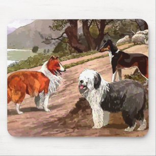 Muismat  gekleurde Collies