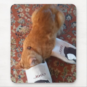 Muismat Ginger Cat Cool