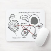 Muismat Glial Cells (Met muis)