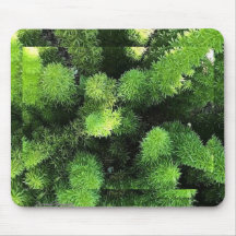 Muismat Green Fern