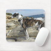 Muismat Greyhoundfoto's (Met muis)