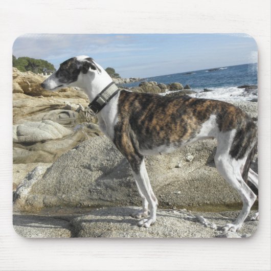 Muismat Greyhoundfoto's (Voorkant)