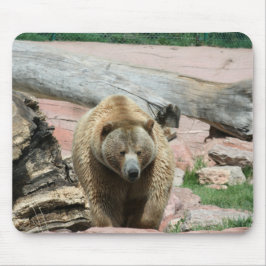 Muismat Grizzly beren van South Dakota