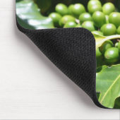 Muismat groene koffiebessen (Hoek)
