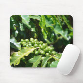 Muismat groene koffiebessen (Met muis)