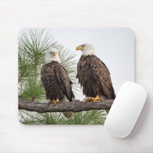 Muismat H&O-computer (Met muis)