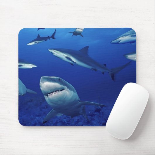 Muismat-haaien Muismat (Met muis)