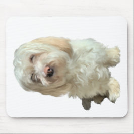 Muismat Havanese Dog