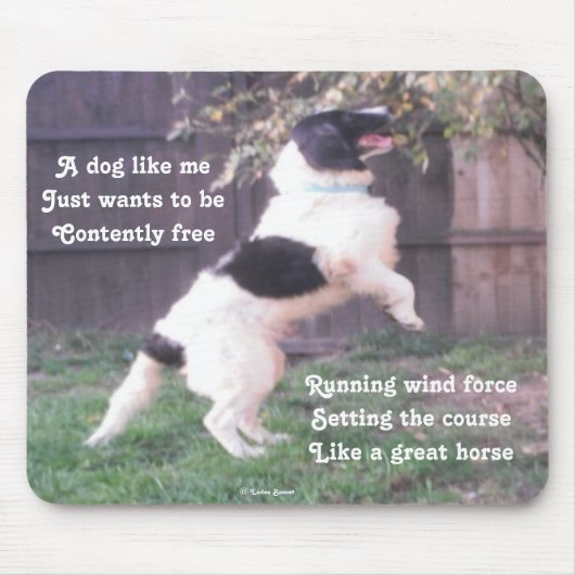 Muismat Hond Paard Gedicht Door Ladee Basset (Voorkant)