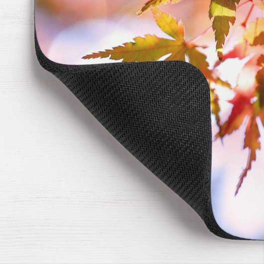 Muismat in het najaar (Hoek)