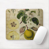 Muismat  kaart (Met muis)