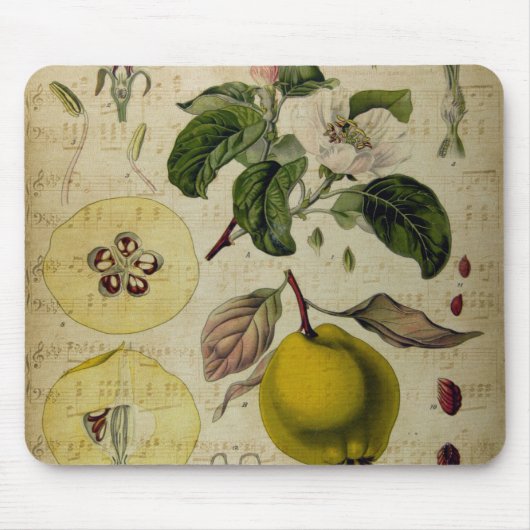 Muismat  kaart (Voorkant)