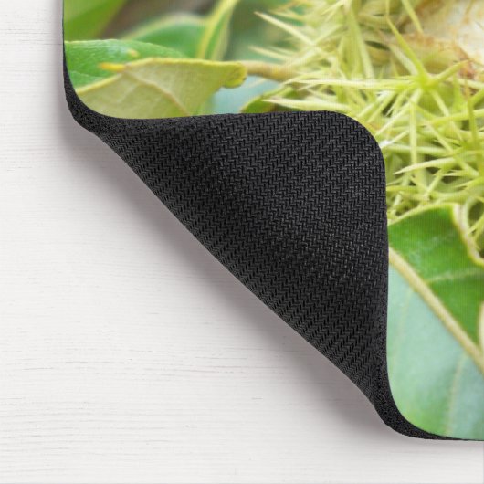 Muismat kastanje (Hoek)