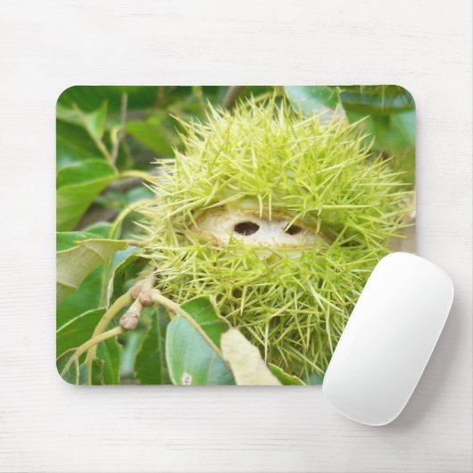 Muismat kastanje (Met muis)