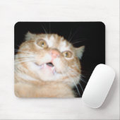 Muismat kat (Met muis)