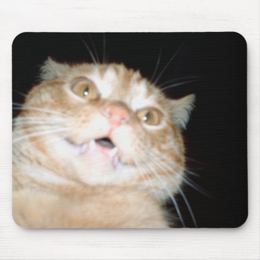 Muismat kat (Voorkant)