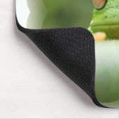 Muismat kikkerogen (Hoek)