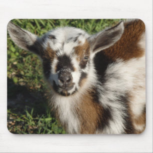 Muismat Kind van mooie geiten