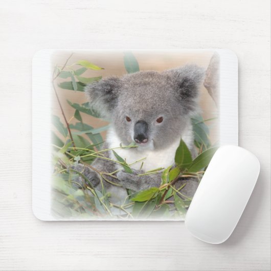 Muismat Koala Beer (Met muis)