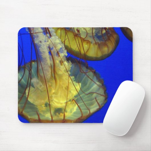 Muismat - kwallen (Met muis)