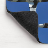 Muismat L-39 Albatros (Hoek)