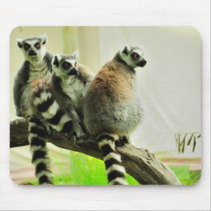 Muismat - Lemur-Ring op maat