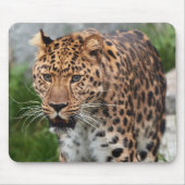 Muismat leopard (Voorkant)