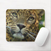 Muismat leopard (Met muis)
