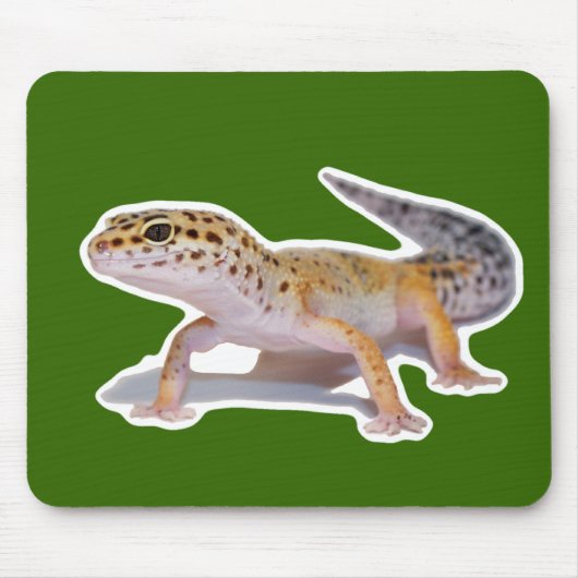 Muismat Leopard Gecko (Voorkant)